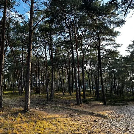Szumilas Rowy (Pomerania)