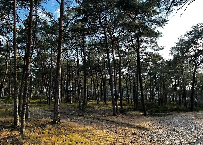 Szumilas Rowy (Pomerania)